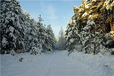 《荒野大镖客2》Steam迎来新史低 折后仅需69元